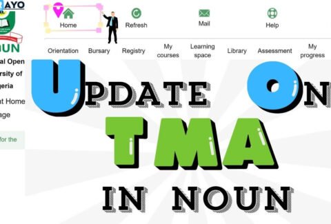 TMA UPDATE IN NOUN 2024