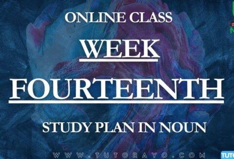 STUDY PLAN IN NOUN; WEEK FOURTEENTH
