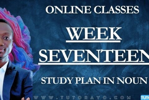 STUDY PLAN IN NOUN; WEEK SEVENTEEN