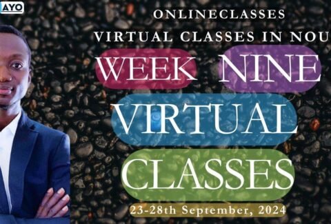 WEEK NINE NOUN VIRTUAL CLASSES