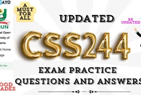 CSS244 EXAM PRACTICE QUESTIONS AND ANSWERS