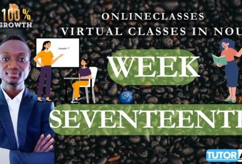Virtual Classes in NOUN; Week Seventeenth