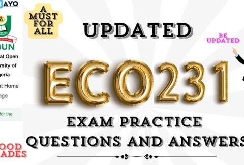 ECO231 EPQS (1)