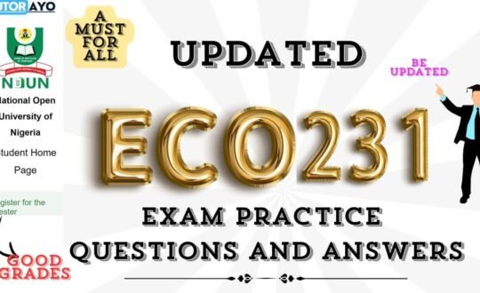 ECO231 EPQS (1)