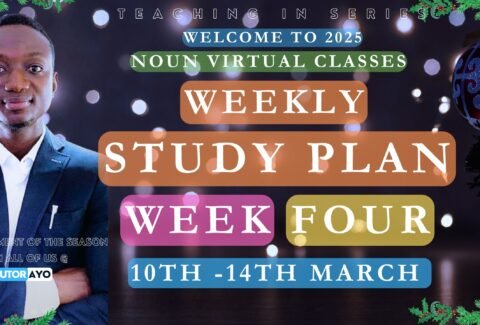 Study plan in noun Tutor Ayo