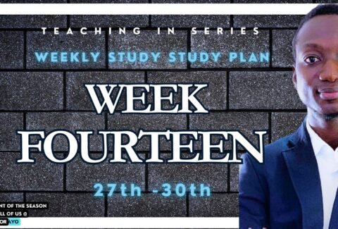 Week fourteen online classes in NOUN